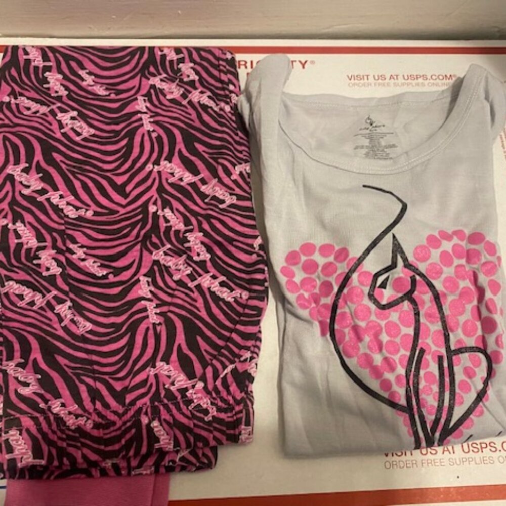 BABY PHAT GIRL PJ SET SIZE:5/6 Gray Shirt With The Pink Baby Phat Image